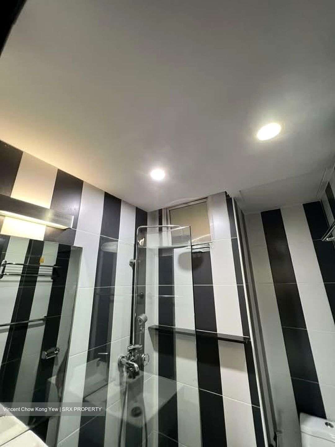 Seletar Springs Condominium (D28), Condominium #583820221